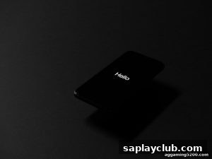 AG真人 saplayclub