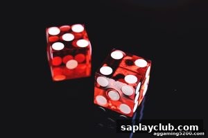 AG真人 saplayclub